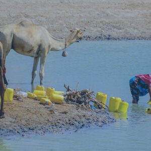 Call for Papers: Global Water Security Issue 7 – Water and Gender: Towards Equality in Rights and Opportunities